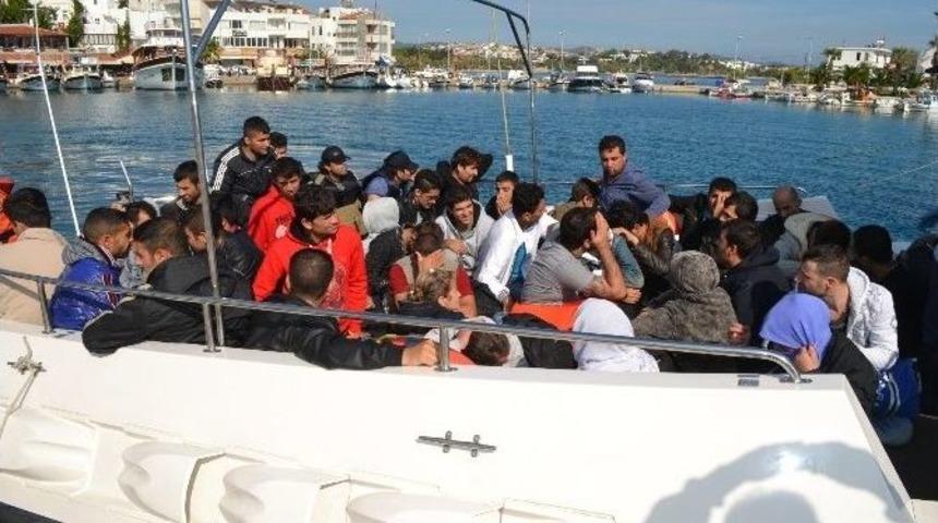 Dat&ccedil;a&rsquo;da 42 Ka&ccedil;ak Yakalandı