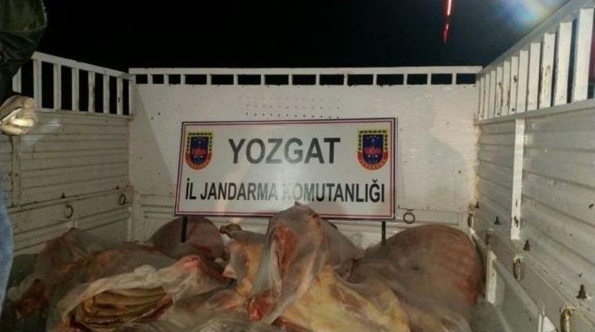 Yozgat Jandarma 500 Kilo Ka&ccedil;ak Et Yakaladı
