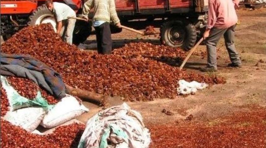 Chpli Y&uuml;ksel: "kozak&rsquo;ta &Ccedil;ift&ccedil;i Perişan"