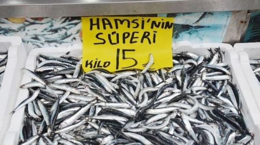 Hamsinin Kilosu 15 Tl&rsquo;ye &Ccedil;ıktı