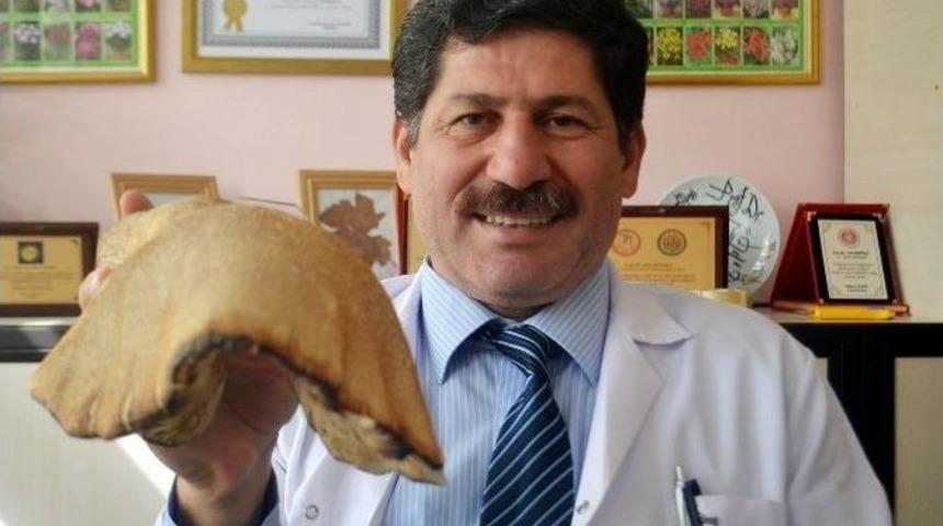 &Ouml;ld&uuml;r&uuml;c&uuml; Mantarların Zehirlenme Belirtileri Daha Ge&ccedil; Ortaya &Ccedil;ıkıyor