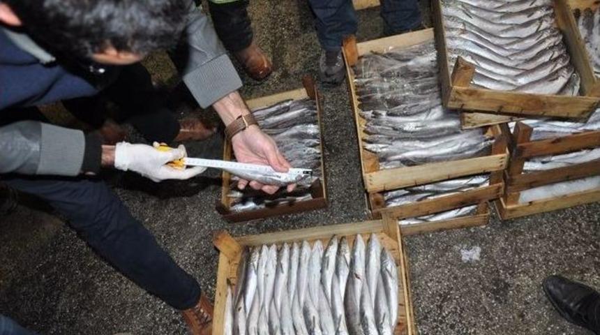 Ankara&rsquo;da K&uuml;&ccedil;&uuml;k Balık Satan 20 İşletmeye Para Cezası