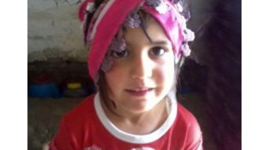 Van&rsquo;da Kayıp &Ccedil;ocuğu Arama &Ccedil;alışmalarına Helikopterli Destek