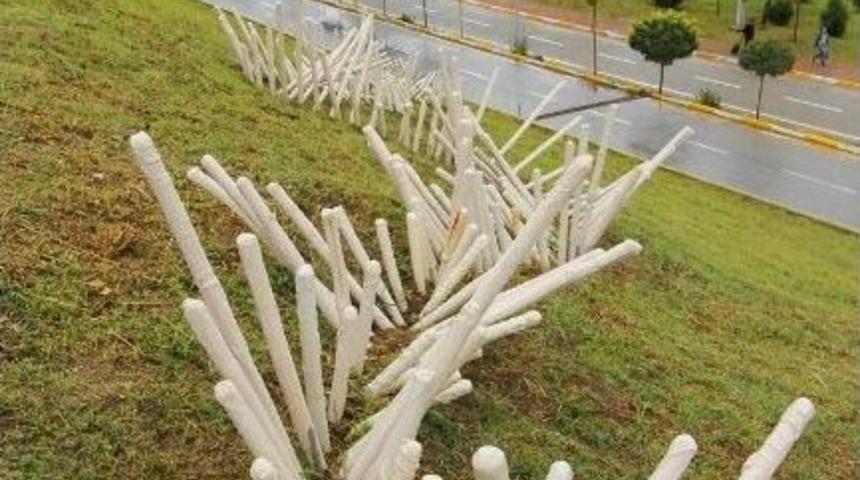 Sa&uuml; &Ouml;ğrencisi Tez &Ccedil;alışmasını Sergiledi