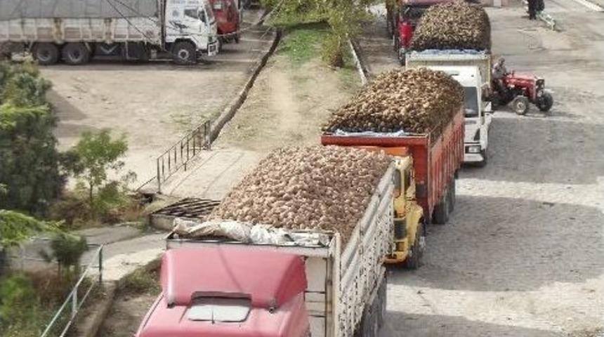 Pancar &Uuml;reticisine 15 Milyon Tl