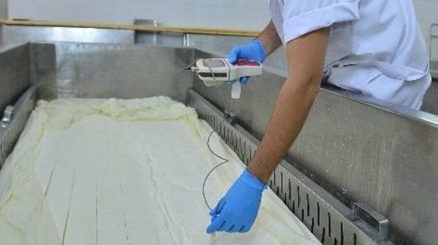 B&uuml;y&uuml;kşehir&rsquo;den Kiraz Ekonomisine Destek