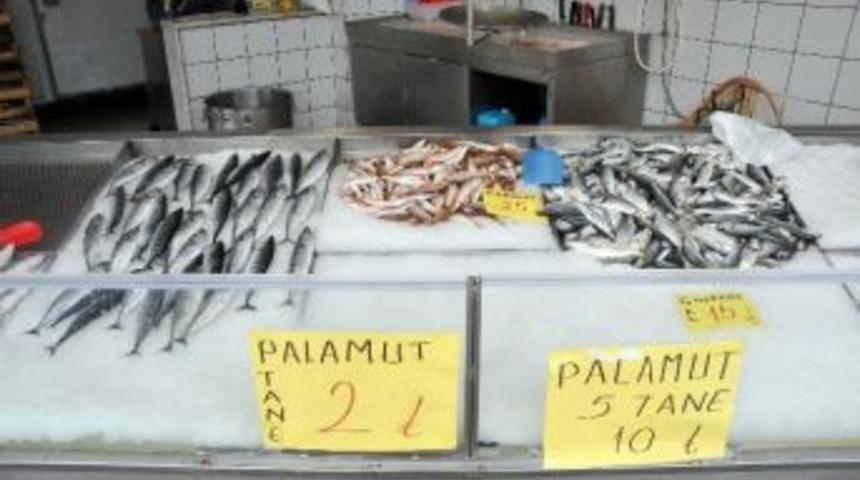 Palamut&rsquo;un 5 Tanesi 10 Tl