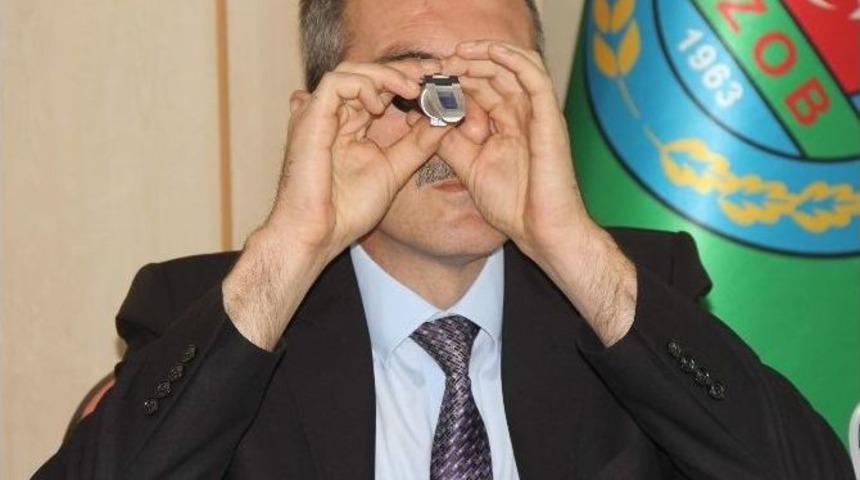 Kivi Hasat Tarihi Belirlendi