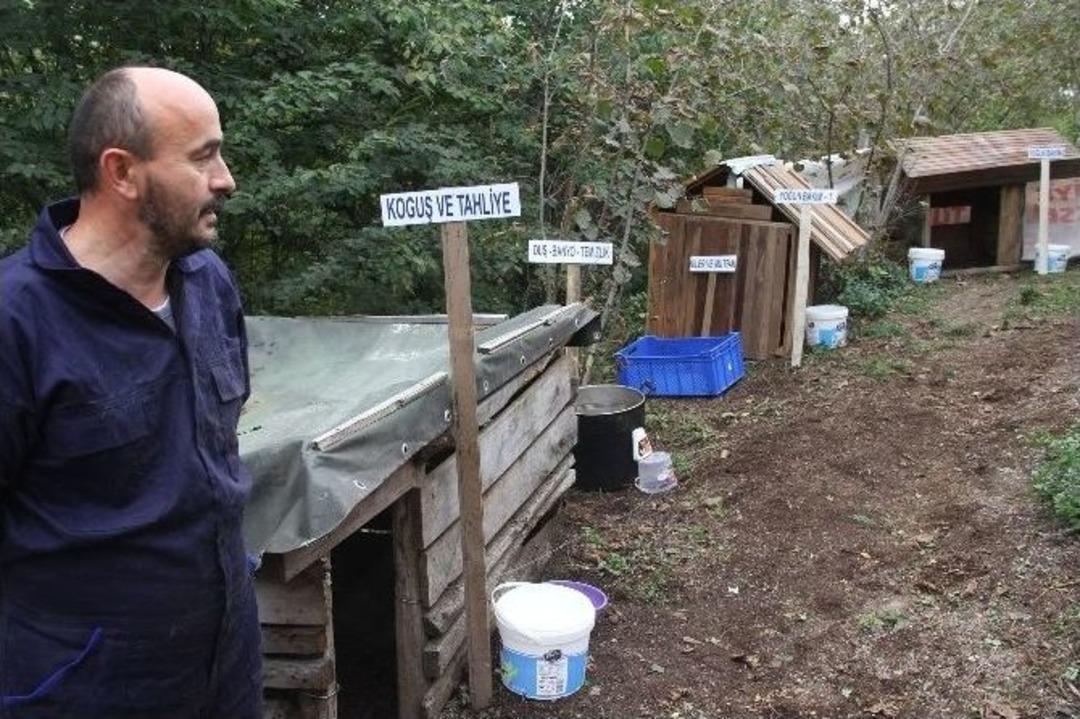 Giresunlu Hayvanseverden Sokak K&ouml;peklerine Şifa Merkezi