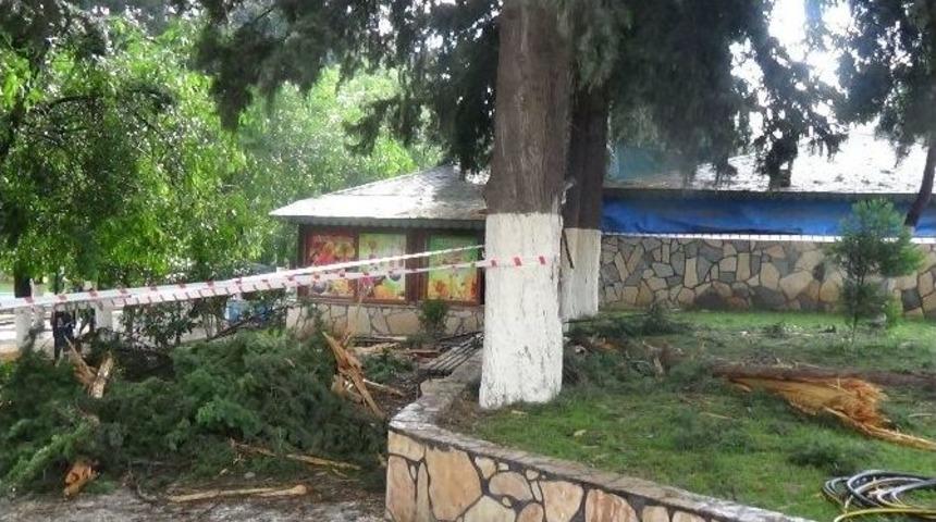 Parka Yıldırım D&uuml;şt&uuml;: 3 &Ouml;ğrenci Yaralı