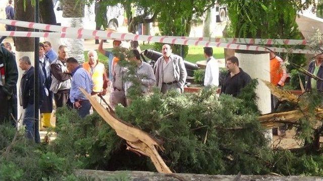 Parka Yıldırım Düştü: 3 Öğrenci Yaralı