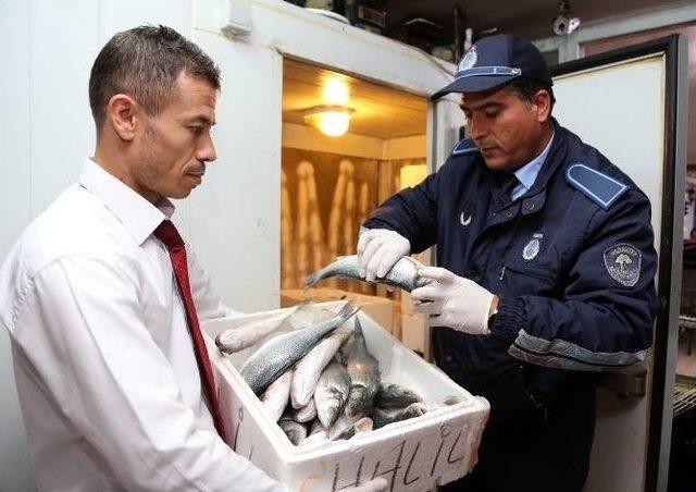 Şehiitkamil Zabıta Ekipleri Balıkçıları Denetledi