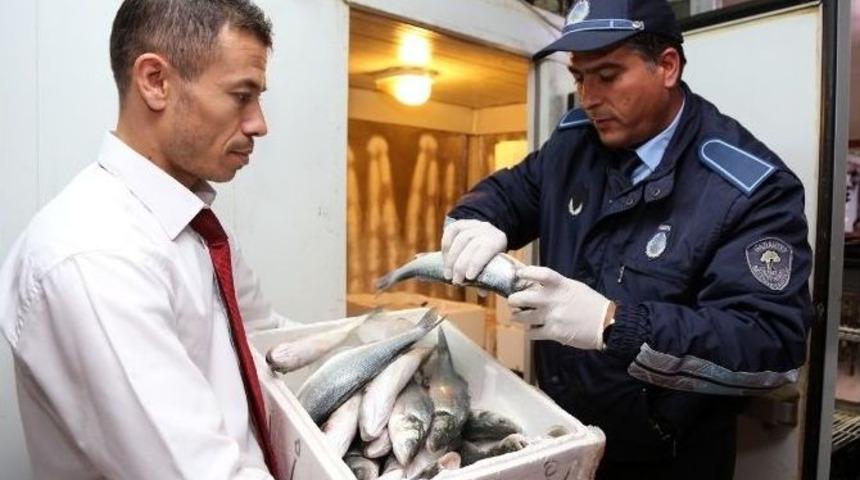 Zabıta, Şehitkamil&rsquo;in Huzur Ve Mutluluğu İ&ccedil;in &Ccedil;alıştı