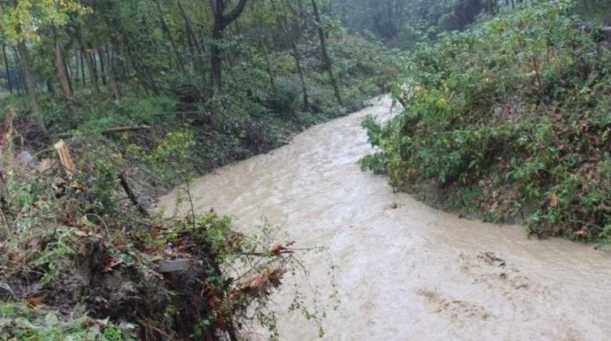Ağa&ccedil; Dallarından Tıkan Dere Temizlendi