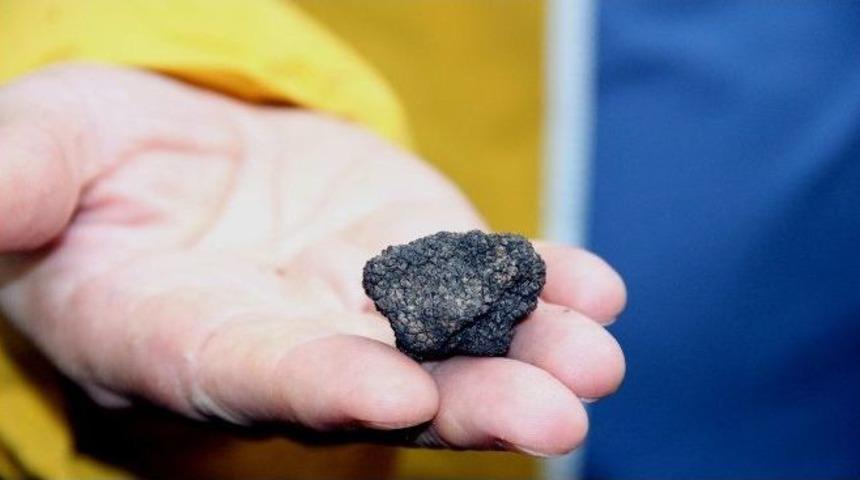 Siyah Elmas Samsun&rsquo;da Aranıyor