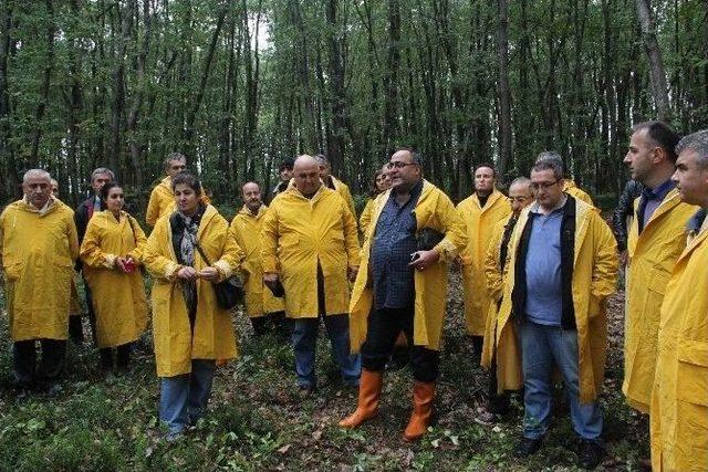 Siyah Elmas Samsun’da Aranıyor