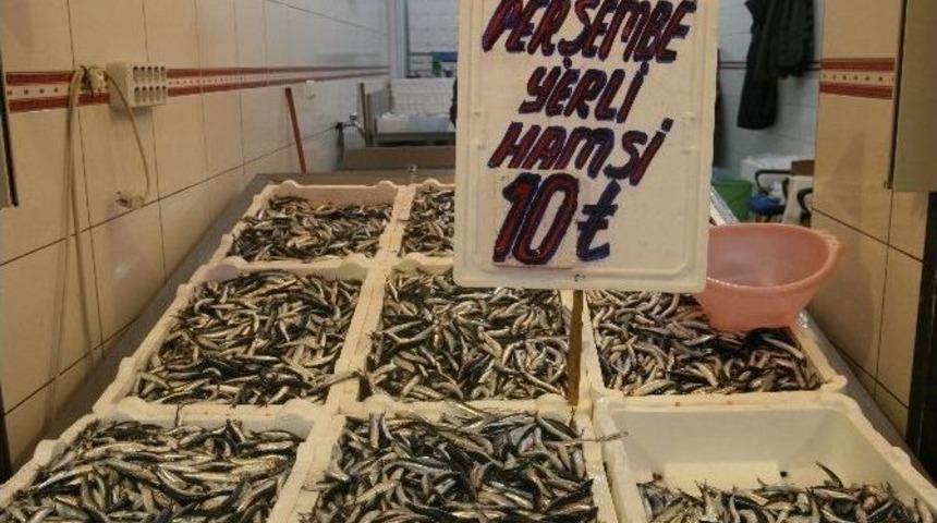 Yerli Hamsi Borsa Gibi