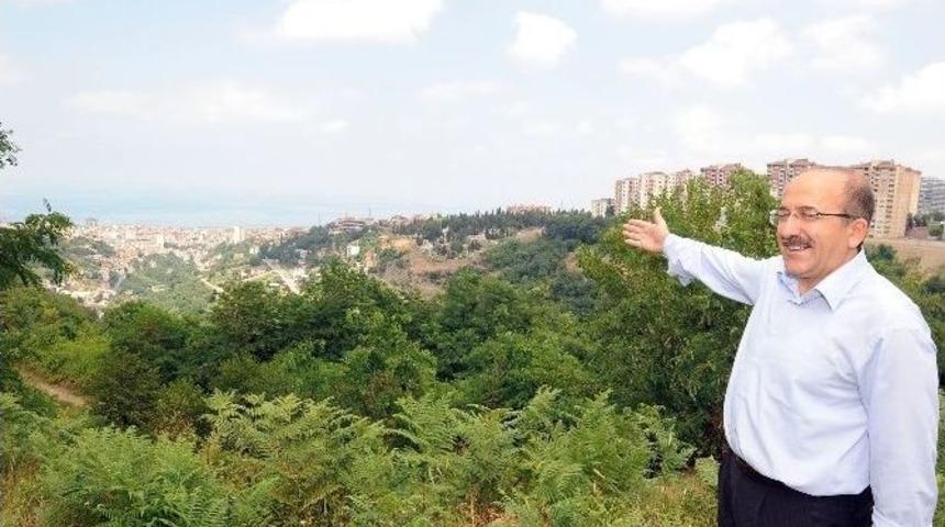 &Ccedil;amoba Botanik Parkı İhalesi Yapıldı