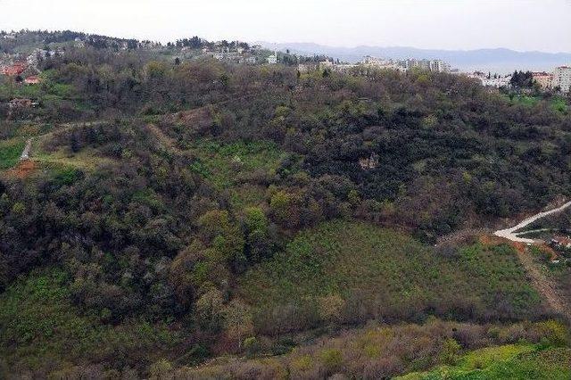 Çamoba Botanik Parkı İhalesi Yapıldı 1