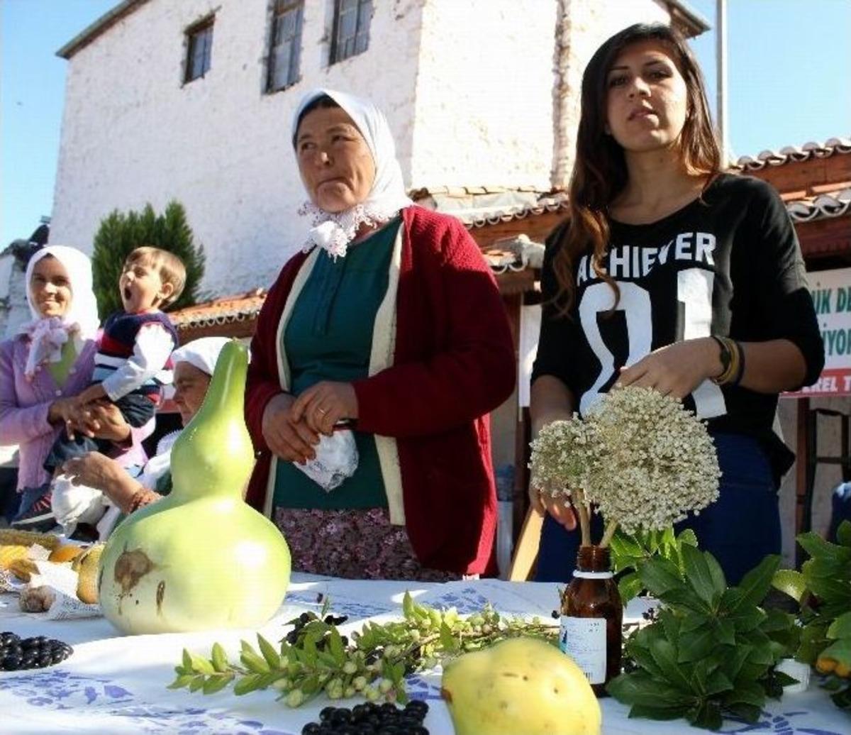 Muğla&rsquo;ya Tohum Bankası