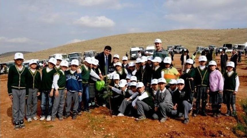 &ldquo;bi D&uuml;nya Yeşil&rdquo; Projesiyle 25 Bin 600 Fidan Toprakla Buluşacak