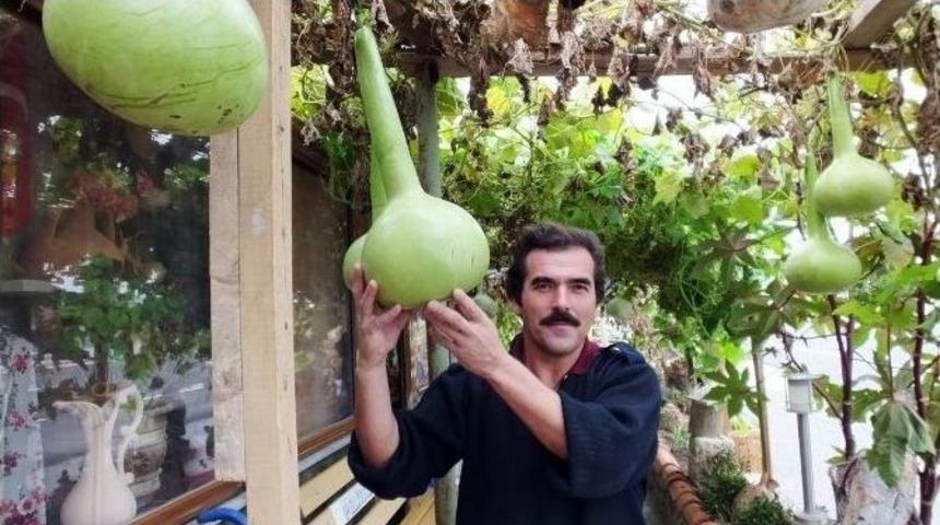 Burhaniye&rsquo;de Su Kabakları S&uuml;s Oldu