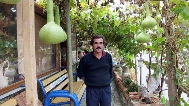 Burhaniye&rsquo;de Su Kabakları S&uuml;s Oldu 1