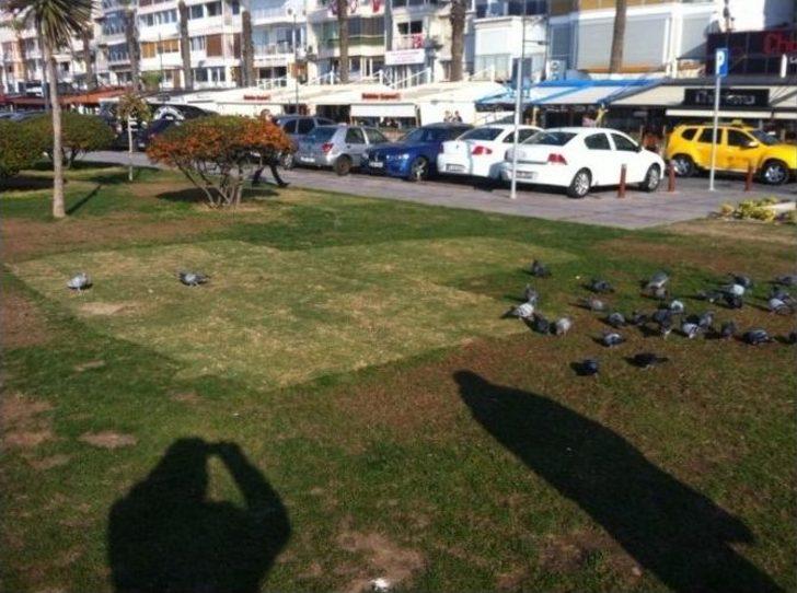 (özel Haber) Kordon’un Yeşil Örtüsü ’’yamalı Bohça’’ Gibi G2