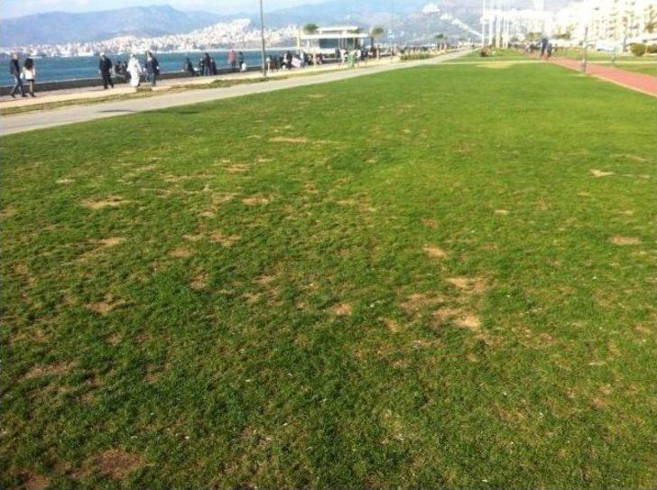 (özel Haber) Kordon’un Yeşil Örtüsü ’’yamalı Bohça’’ Gibi G3