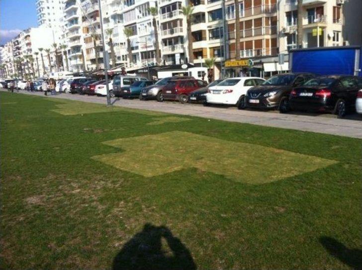 (özel Haber) Kordon’un Yeşil Örtüsü ’’yamalı Bohça’’ Gibi G4