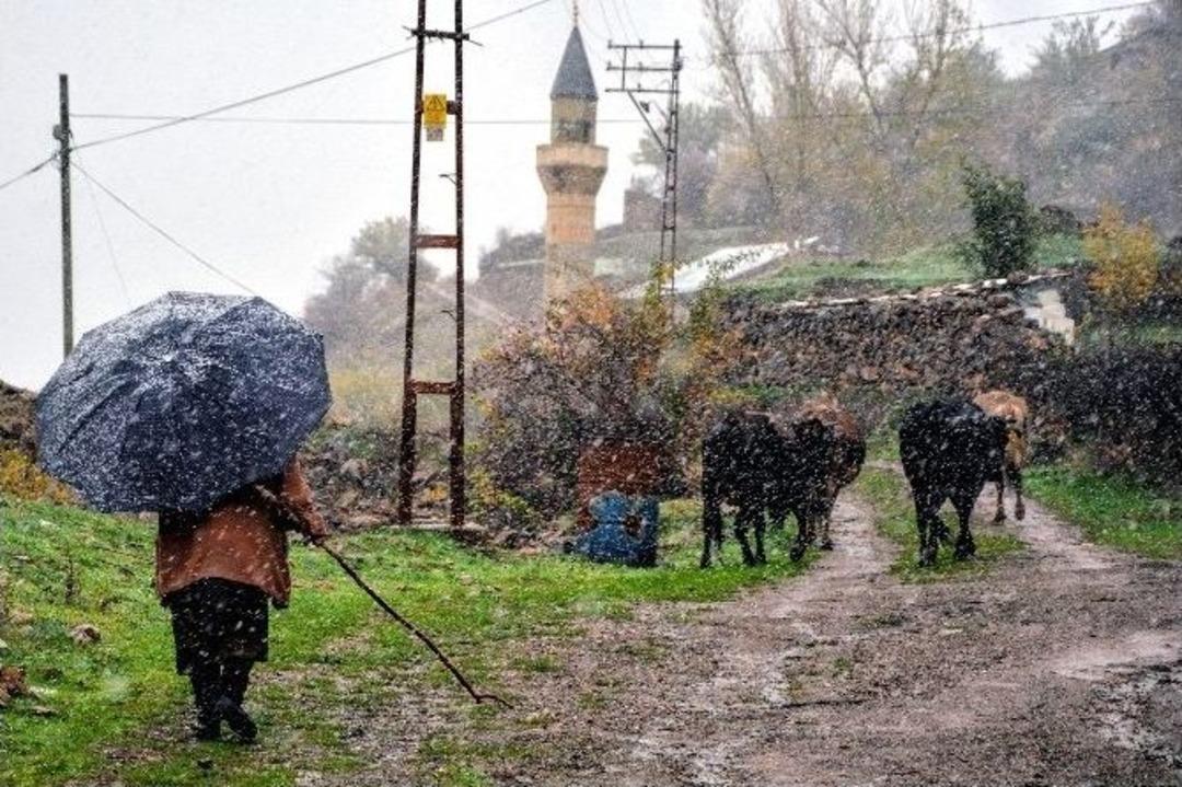 G&uuml;m&uuml;şhane Beyaza B&uuml;r&uuml;nd&uuml;