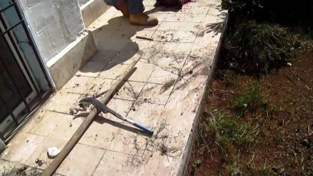 12 Yıllık K&ouml;peğini Tahra İle &Ouml;ld&uuml;rd&uuml; 1