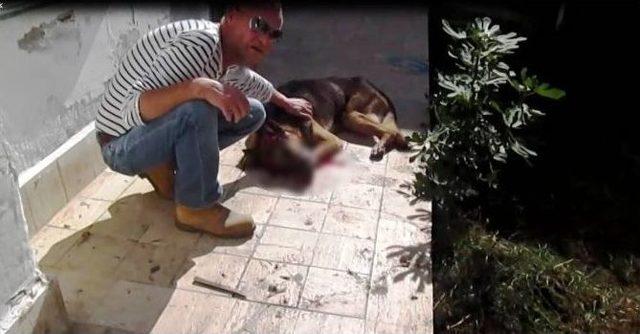 12 Yıllık K&ouml;peğini Tahra İle &Ouml;ld&uuml;rd&uuml; 2