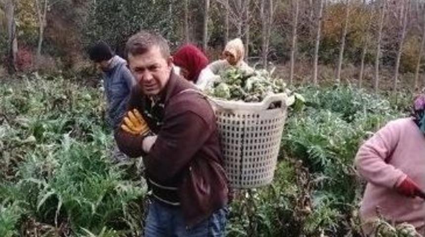 Enginarda Son Kesim Yapıldı