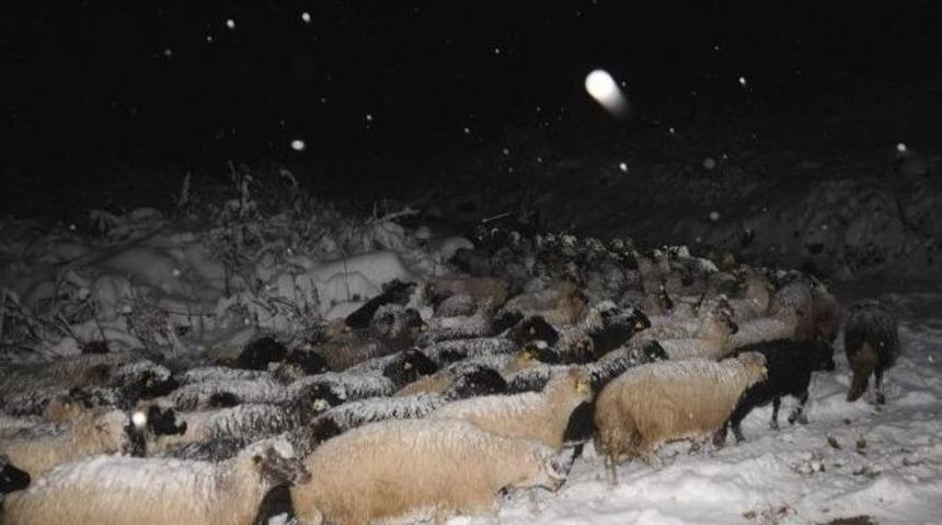 Artvin&rsquo;de Yoğun Kar Yağışı