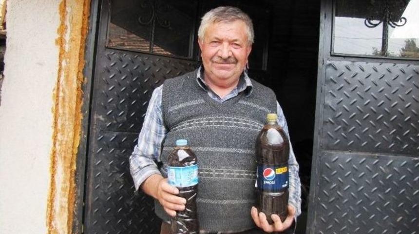 Organik Pekmez Doğal Bir Enerji Deposu