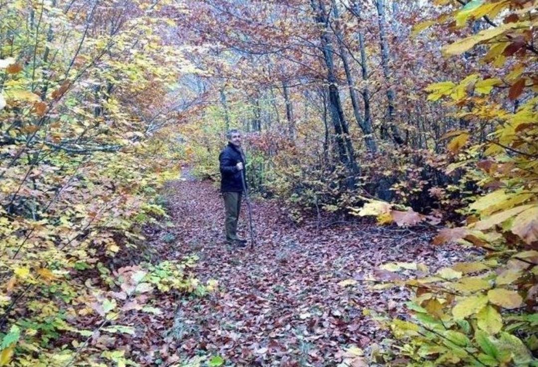 Şaphane&rsquo;de Sonbahar G&uuml;zelliği