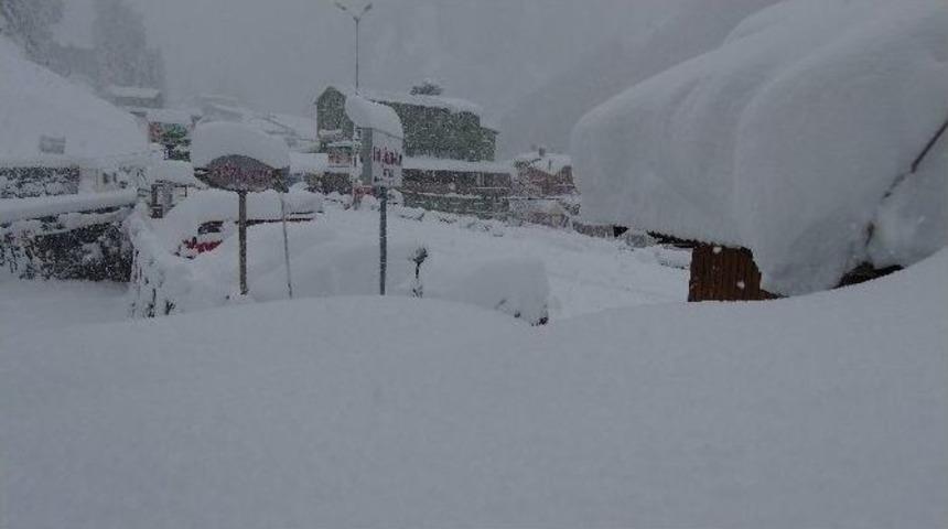 Ayder Yaylası Beyaz &Ouml;rt&uuml;ye B&uuml;r&uuml;nd&uuml;