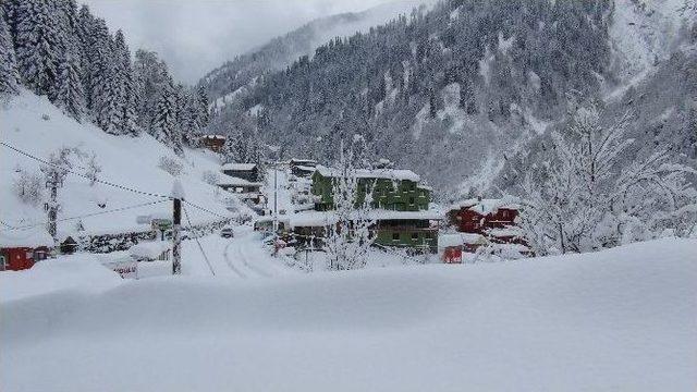 Ayder Yaylası Beyaz &Ouml;rt&uuml;ye B&uuml;r&uuml;nd&uuml; 1