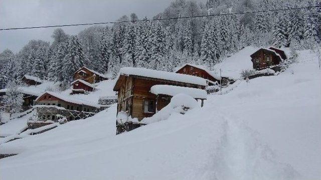 Ayder Yaylası Beyaz &Ouml;rt&uuml;ye B&uuml;r&uuml;nd&uuml; 2
