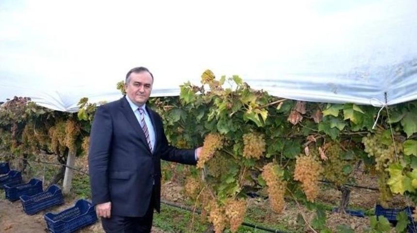 Mhpli Ak&ccedil;ay, &Uuml;z&uuml;mc&uuml;n&uuml;n Dertlerini Dinledi