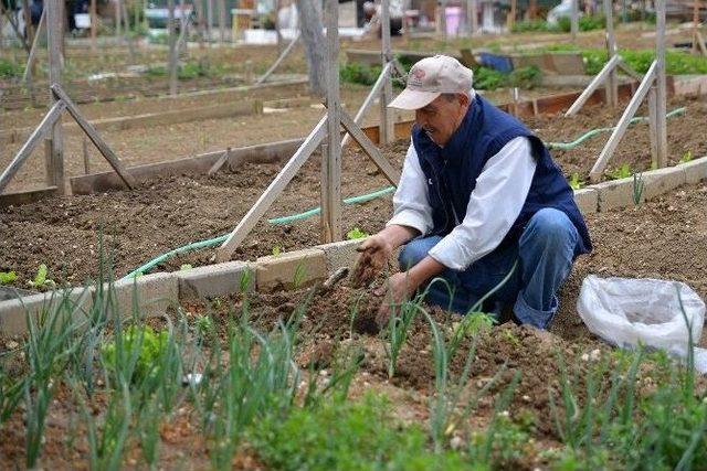 Hobi Bahçeleri İçin Kura Çekimi Yapıldı