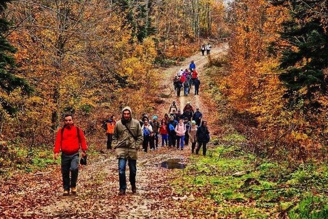 Doğa Tutkunları Taraklı’da Yürüyecek