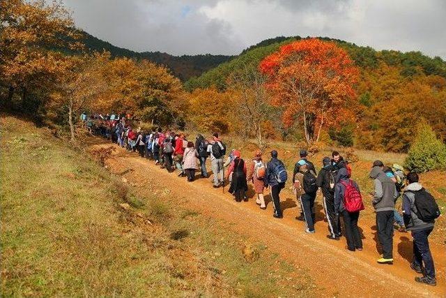 Doğa Tutkunları Taraklı’da Yürüyecek