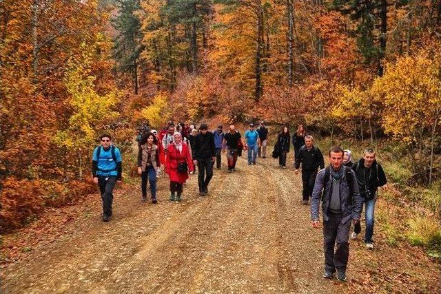 Doğa Tutkunları Taraklı’da Yürüyecek