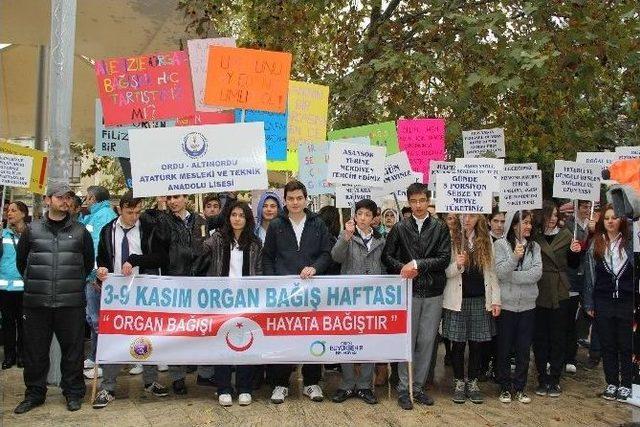 Ordu’da 500 Kişi Diyalize Giriyor, 47’si Organ Bekliyor