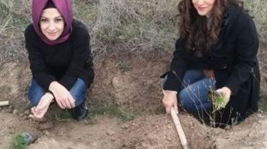 Kızılay&rsquo;dan &Ouml;rnek Proje