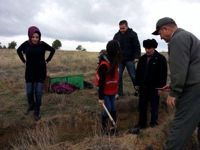 Kızılay&rsquo;dan &Ouml;rnek Proje 2