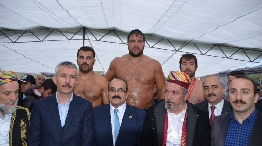 Kargı G&uuml;reşleri Kırkpınarı Aratmadı