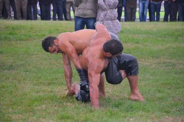 Kargı G&uuml;reşleri Kırkpınarı Aratmadı 1